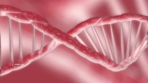 Close Up Red Dna