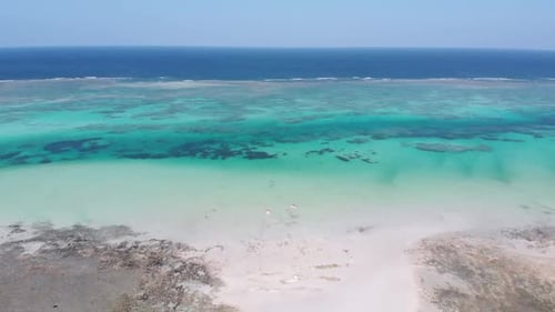 Paradise Tropical Shore and Barrier Reef in Ocean Sandbanks Zanzibar Aerial View
