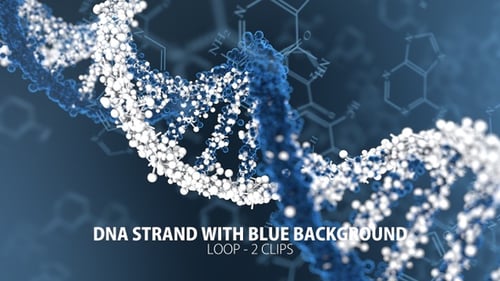 Rotating DNA Double Helix with Chemical Structures Animation