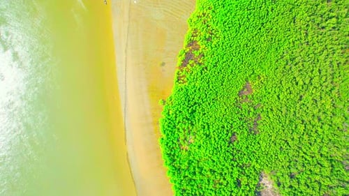 4K : Aerial view over beautiful mangrove forest. mangroves along the coastline