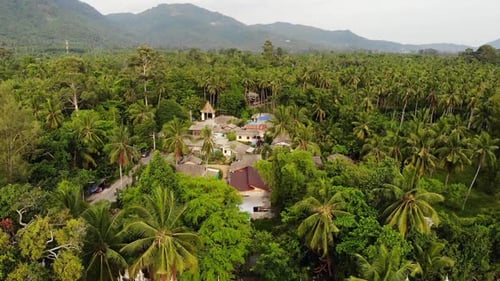 Classic Buddhist Temple Between Forest. From Above Drone View Buddhist Monastery Between Green Trees