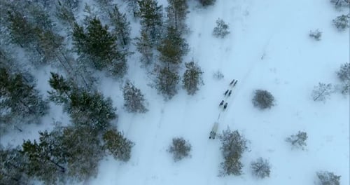 Aerial View of Dog Sled Team in Winter