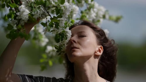 Middleaged Woman is Enjoying Spring in Garden Sniffing Blooming Branch of Cherry or Apple Tree