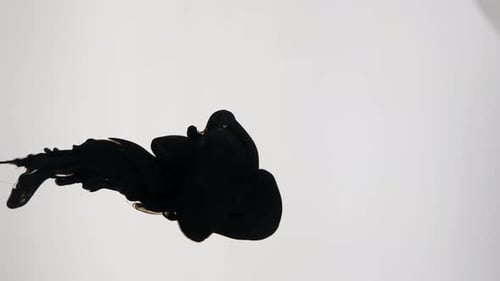 Ink Bloom: Abstract Black Ink Motion on Gray