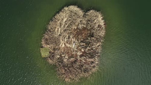Aerial View of an Island Marsh Habitat