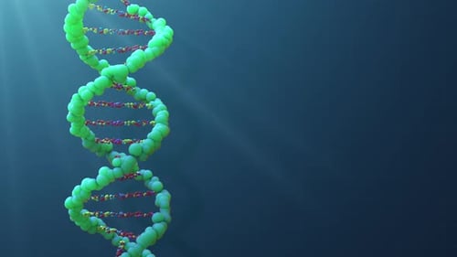 Animated DNA Helix Science Medical Background Loop