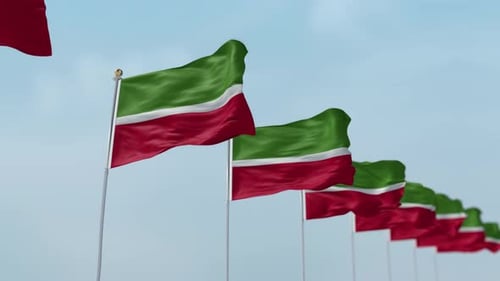 Row of Chechen Republic Flags Waving in the Wind