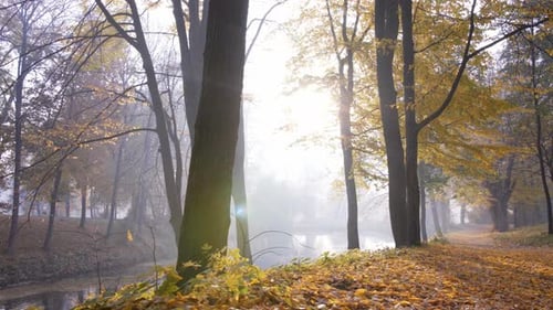 Autumn