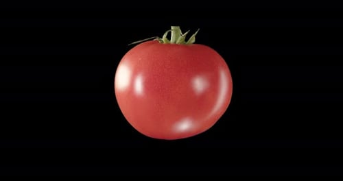 Alimentos orgánicos. Tomate Verdura. Canal alfa