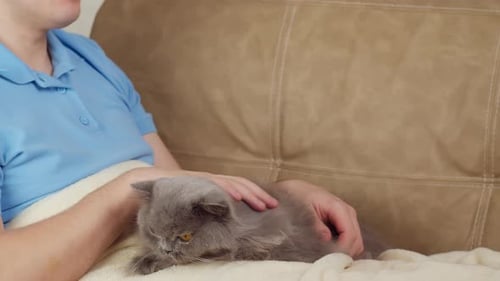 Person Pets Gray Fluffy Cat on Couch