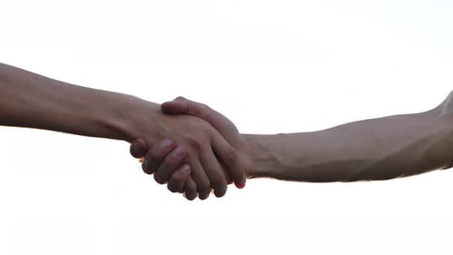 Close-up of Hands Shaking Against a White Background