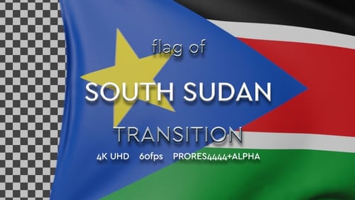 Realistic Waving Country Flag Reveal Transition