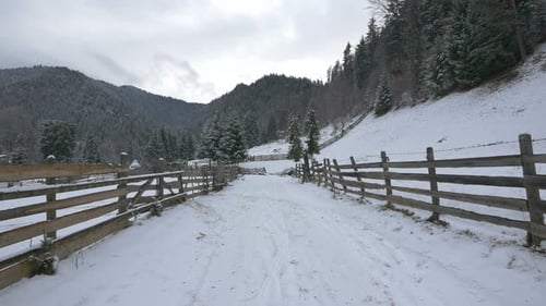 Road between wooden fences