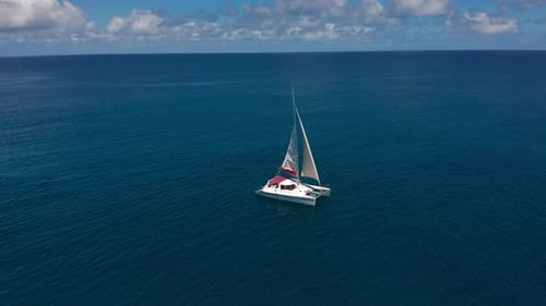 Sailing Catamaran in the Tropical Sea with Open Sails View From the Drone