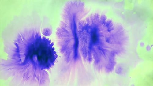 Abstract Footage of Ink Splatter