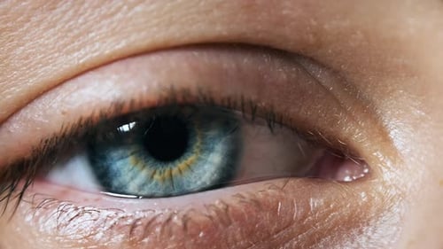 Schönes blaues Frauenauge, extreme Nahaufnahme. Sicht. Detailansicht Junge Mädchenauge