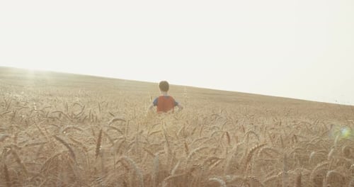 Young boy stands in a golden field during sunset - raising his hands in victory