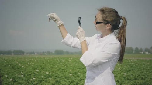 Scientist Examines Worm with Magnifying Glass in Field