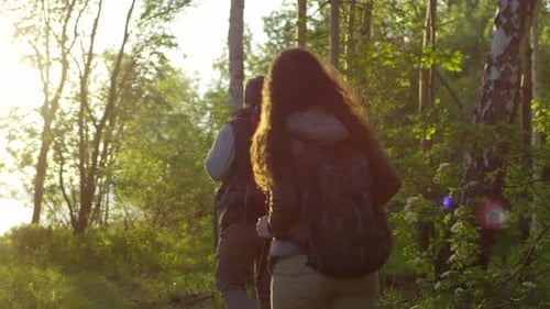 Male and Female Tourists Hiking in Forest at Sunset