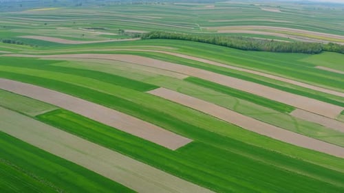 Large Farm Hills
