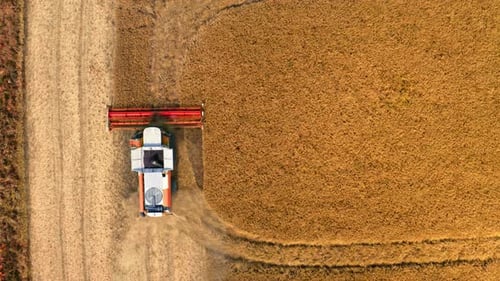 Top view of red harvester harvesting seed, aerial view