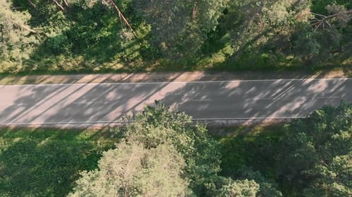 Leere Autostraße im Wald bei Sonnenuntergang