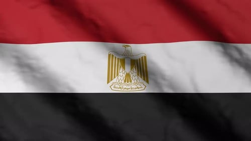 Waving Egypt Flag Seamless Loop Animation