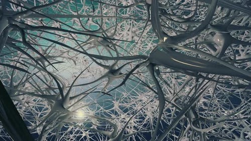 Brain Activity Network Of Neurons And Synapses