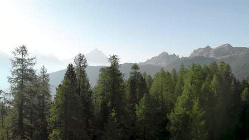 Aerial Flying over Mountain Forest at Croda da Lago in Dolomites Alps Italy