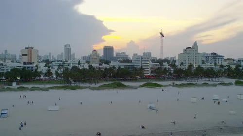 Aerial view of buildings and palm trees in Miami Beach