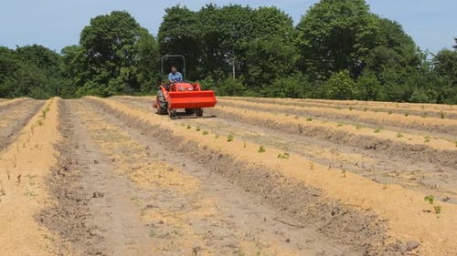 Man driving tractor on farm