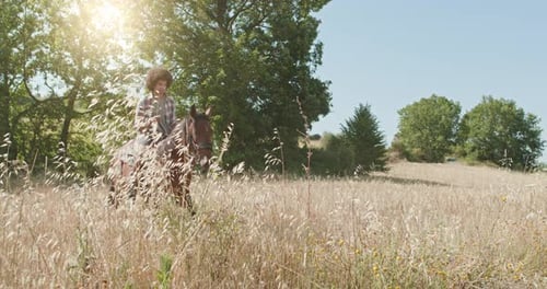 Mann reitet Pferde auf einem sonnigen wilden Feld im Freien.Freunde Italienreise in Umbrien. Zeitlupe