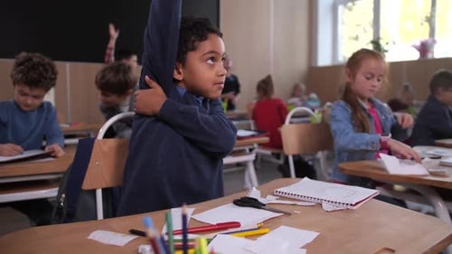 Elementary School Students Learning in Classroom