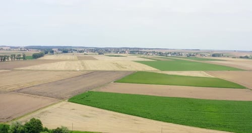 Aerial View of Green and Brown Agricultural Fields
