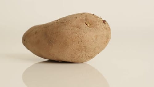Potato On a White Surface