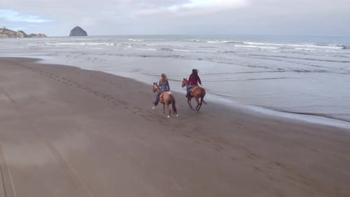 Aerial view of women riding horses at beach