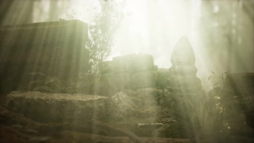 Hoary Ruins of Ancient City in Pine Forest
