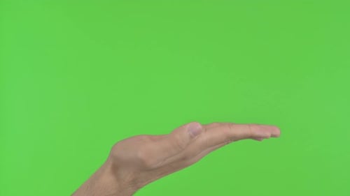 Hand Showing Gesture Green Chroma Key