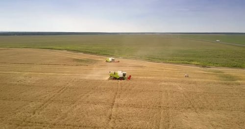 Panoramic View Farmers in Field and Harvesters Cut Off Crop