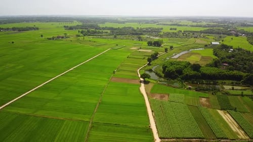 Aerial View of Beautiful Green Agricultural Land in the Countryside of Asia.
