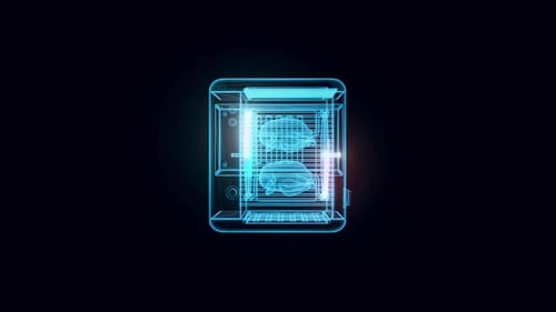 Chicken Rotisserie Hologram 4k