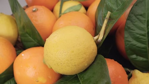 Bunte gesunde Zitrusfrucht