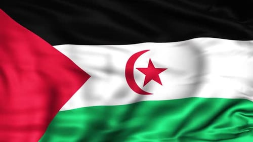 Waving Flag of Sahrawi Arab Democratic Republic Loop