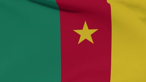 Realistic Cameroon Flag Waving Loop Animation