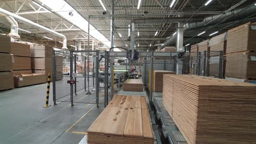 Automated Wood Sorting System in Manufacturing Factory