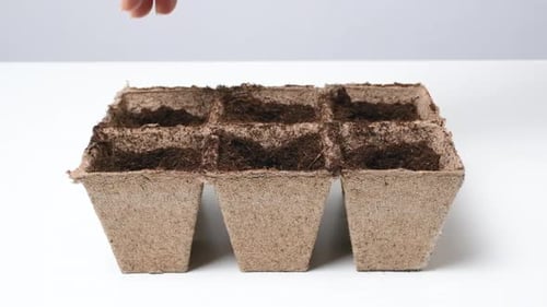 Farmer Hands Planting Seeds in the Garden