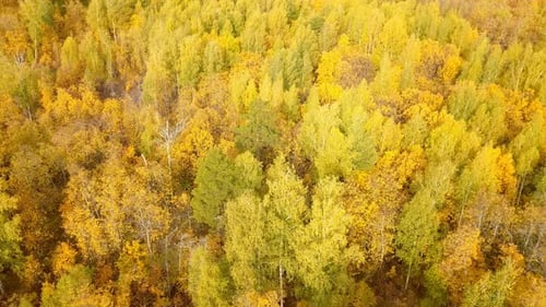 Natur