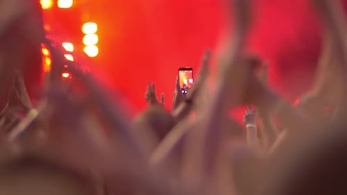 Enthusiastic Crowd Cheering at Vibrant Music Concert