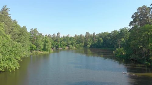 Lake In Forest Drone View