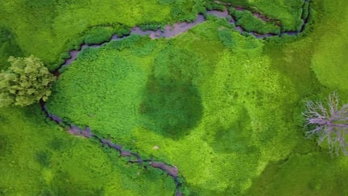 Drone flying across a large marshy swampland.
